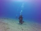 Hawaii Scuba divng 47