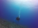 Hawaii Scuba divng 51