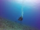 Hawaii Scuba divng 52