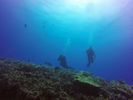 Hawaii Scuba divng 54