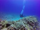 Hawaii Scuba divng 57