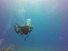 Hawaii Scuba divng 59