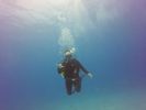 Hawaii Scuba divng 62