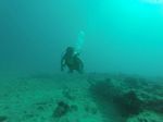 Hawaii Scuba divng 11