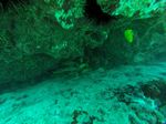Hawaii Scuba divng 12