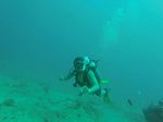 Hawaii Scuba divng 13