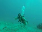 Hawaii Scuba divng 14