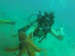 Hawaii Scuba divng 20