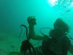 Hawaii Scuba divng 23