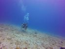 Hawaii Scuba divng 10