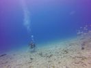 Hawaii Scuba divng 13