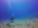 Hawaii Scuba divng 15