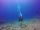 Hawaii Scuba divng 17