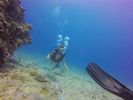 Hawaii Scuba divng 19