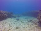 Hawaii Scuba divng 20