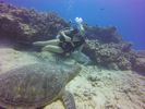 Hawaii Scuba divng 21