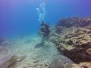 Hawaii Scuba divng 28