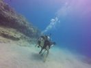 Hawaii Scuba divng 32