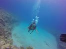 Hawaii Scuba divng 33