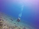 Hawaii Scuba divng 36