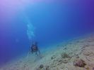 Hawaii Scuba divng 39