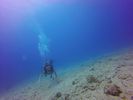 Hawaii Scuba divng 39