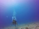 Hawaii Scuba divng 40