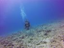 Hawaii Scuba divng 42