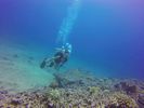 Hawaii Scuba divng 45