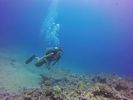 Hawaii Scuba divng 46