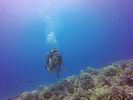 Hawaii Scuba divng 48