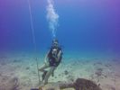 Hawaii Scuba divng 04