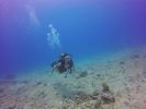 Hawaii Scuba divng 05