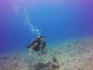 Hawaii Scuba divng 06