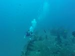 Hawaii Scuba divng 15