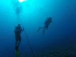 Hawaii Scuba divng 16