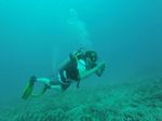 Hawaii Scuba divng 18