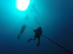 Hawaii Scuba divng 03