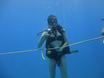 Hawaii Scuba divng 12