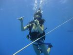 Hawaii Scuba divng 13