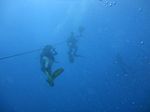 Hawaii Scuba divng 14