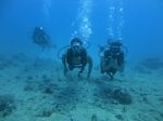 Hawaii Scuba divng 16