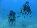 Hawaii Scuba divng 17