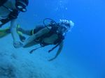 Hawaii Scuba divng 18