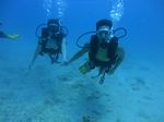 Hawaii Scuba divng 20