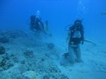 Hawaii Scuba divng 22