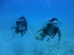 Hawaii Scuba divng 24