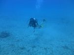 Hawaii Scuba divng 25