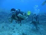 Hawaii Scuba divng 27