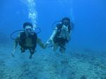 Hawaii Scuba divng 28